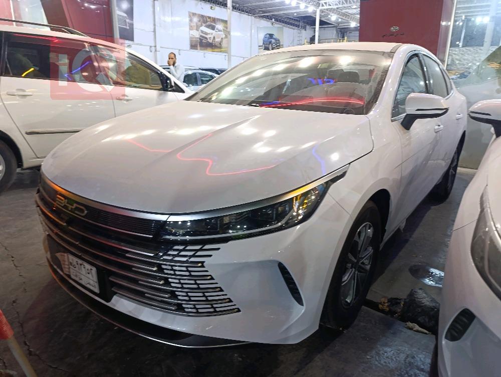 BYD Destroyer 05